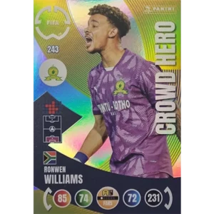 Panini FIFA Club WM Trading Cards 2025