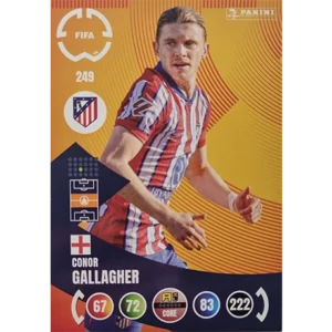 Panini FIFA Club WM Trading Cards 2025