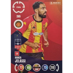 Panini FIFA Club WM Trading Cards 2025