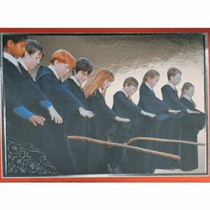 Panini Harry Potter Anthology Sticker Nr 039