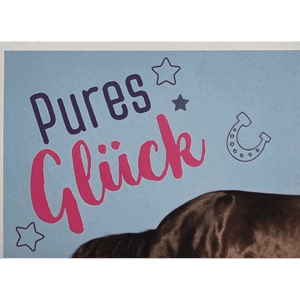 Horse Club Lieblingspferde Sticker - Nr 004