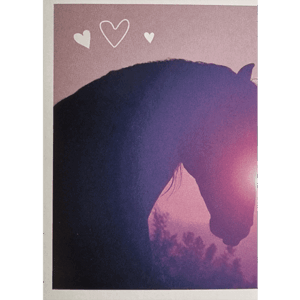 Horse Club Lieblingspferde Sticker - Nr 058