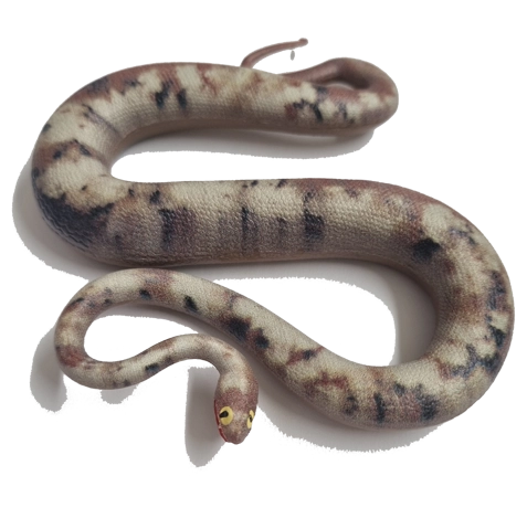 Blue Ocean Snakes Planet Wow Sammelfiguren 2024 / 6 Titanoboa