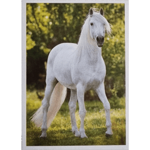 Horse Club Lieblingspferde Sticker - Nr 067