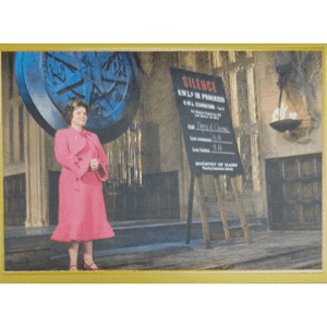 Panini Harry Potter Anthology Sticker Nr 069