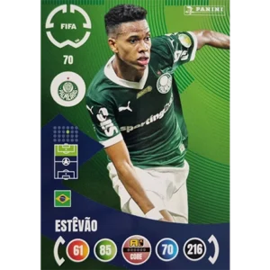 Panini FIFA Club WM Trading Cards 2025