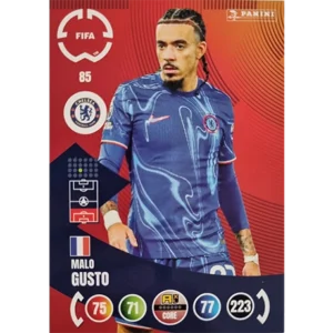Panini FIFA Club WM Trading Cards 2025