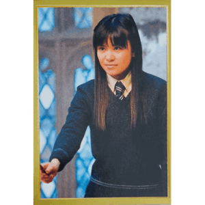 Panini Harry Potter Anthology Sticker Nr 093