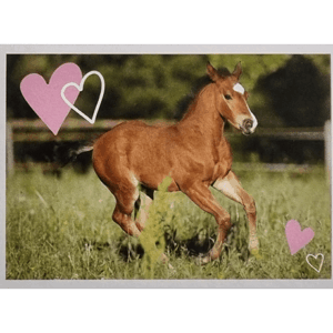 Horse Club Lieblingspferde Sticker - Nr 094
