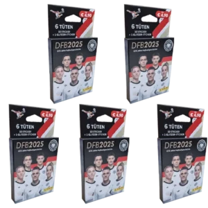 Panini 125 Jahre DFB Fussball Sticker