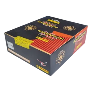 Panini FIFA Club WM Trading Cards 2025