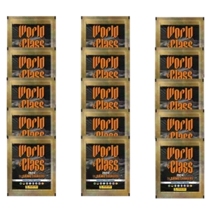 Panini World Class Sticker 2024 - 15x Sammeltüten