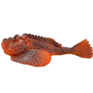 Blue Ocean Planet WOW Toxic Creatures