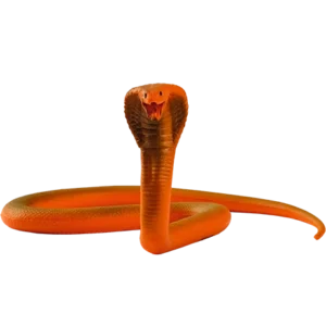 Blue Ocean Planet WOW Toxic Creatures