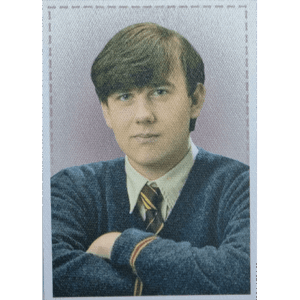 Panini Harry Potter Anthology Sticker Nr Y9